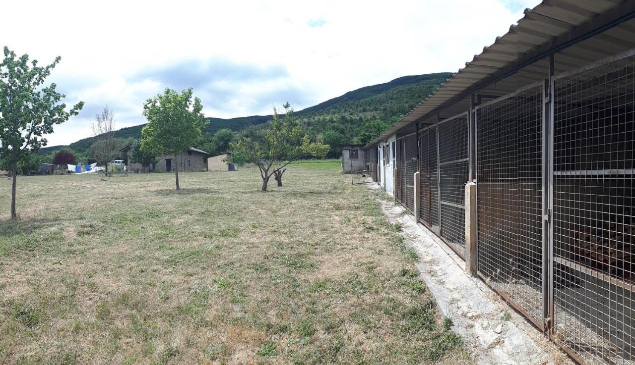 Albergue A'Noguera カスティエジョ・デ・ハカ エクステリア 写真